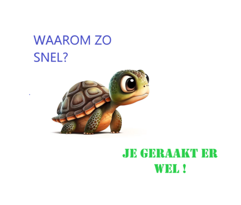 Schilpdad