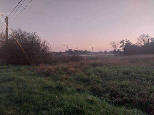Img 20241114 wa0007 1 