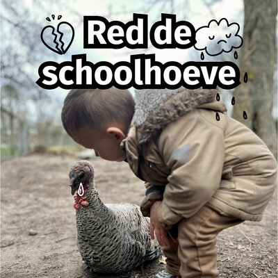 Red de schoolhoeve vierkant
