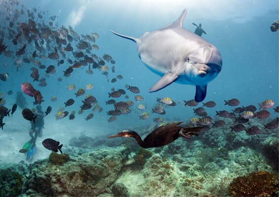 Ontwerp zonder titel 11