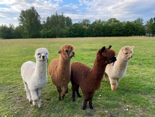 75842699 ec10 48d3 ada9 b778bccbf9e2