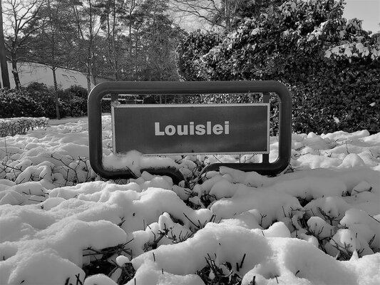 Louislei