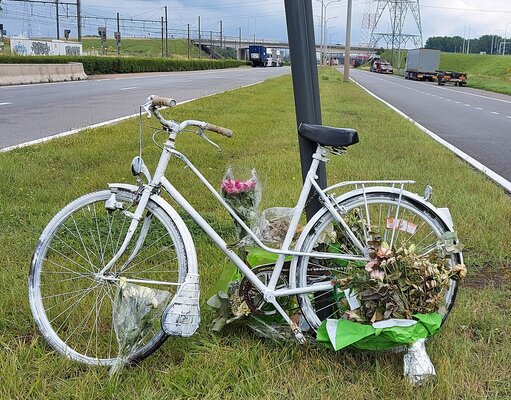 Fietsoversteek steenlandlaan